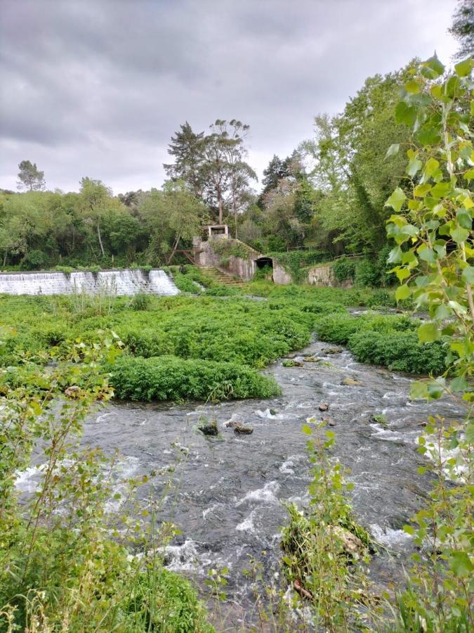 CarregueirosCasa Portu-Breizh住宿加早餐旅馆 外观 照片